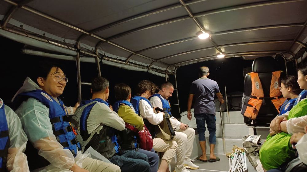 Fireflies Tour with Blue Tears Watching, Eagle Feeding and Seafood Dinner