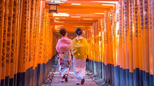 1-day tour to ancient temples in Kyoto + Fushimi Inari Taisha in Japan Day Tours