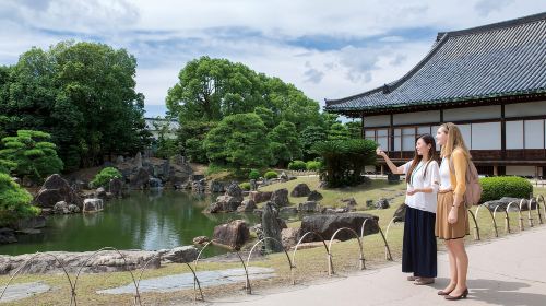Kyoto: Nijo-jo Castle and Ninomaru Palace Guided Tour Day Tours