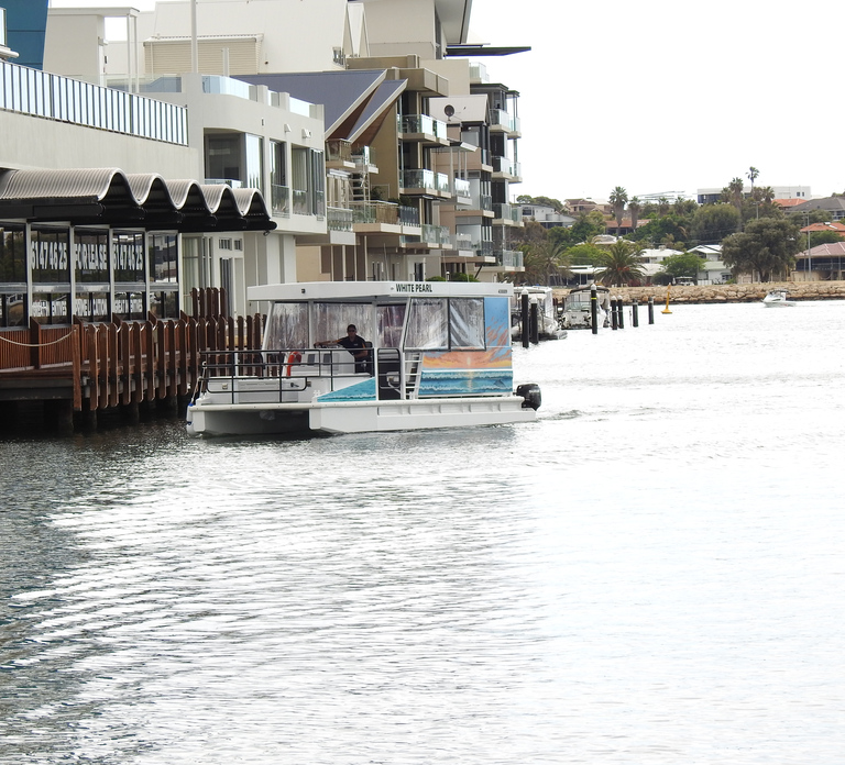 Mandurah: Sightseeing Dolphin Cruise with Tour Guide