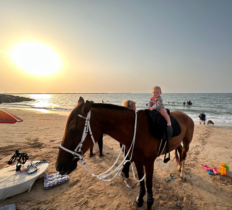 Ras Al Khaimah: Beach Horse Riding and Swimming