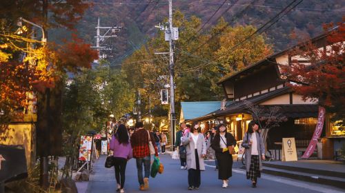 Beppu Kinrin Lake Autumn Viewing + Hells of Beppu + Kyushu Wildlife Park African Safari 1-day Tour