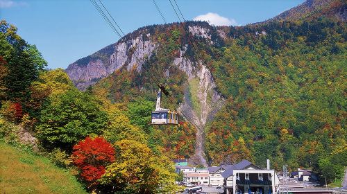 Fall day tour | Kurodake mountain cable car for maple viewing & Asahiyama Zoo [Chinese and English guide, departure from Sapporo] Day Tours