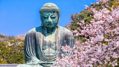 Kyoto/Nara/Uji Private Vehicle Charter from Osaka with English-speaking Driver | Customizable Itinerary | Contact Us for Private Vehicle Charters to Other Destinations(e.g., Kobe, Wakayama) Day Tours