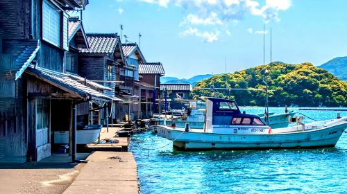 Kyoto Tango Sea Train + Amanohashidate + Ine Boat Houses 1-day tour, including train fare and optional boat ride