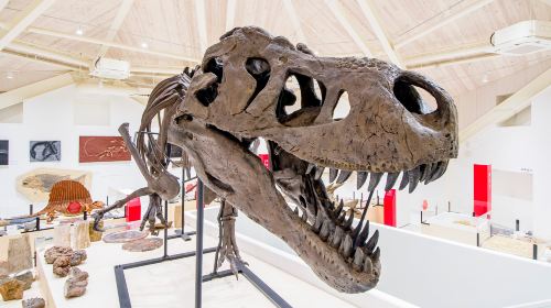 Genbudo Museum