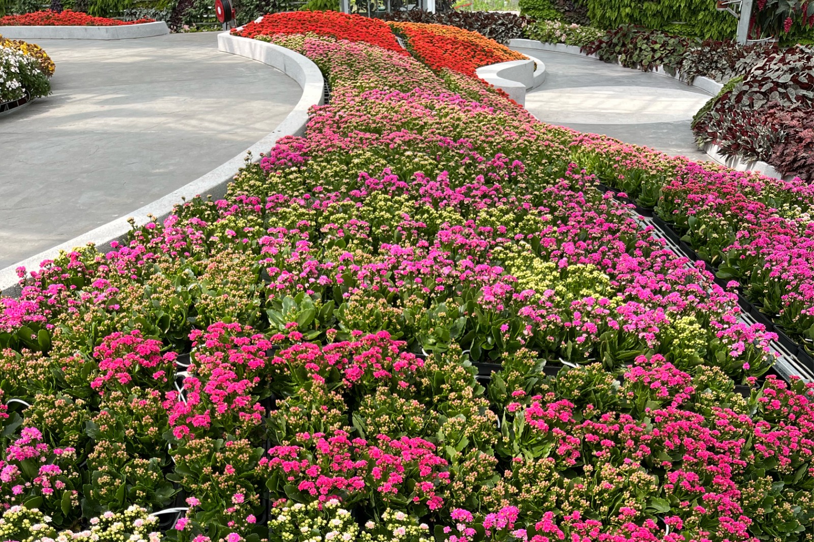 Eufloria Gardens & Sculpture Park