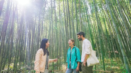 Kyoto Arashiyama Bamboo forest & Hidden Garden Walking Tour Day Tours