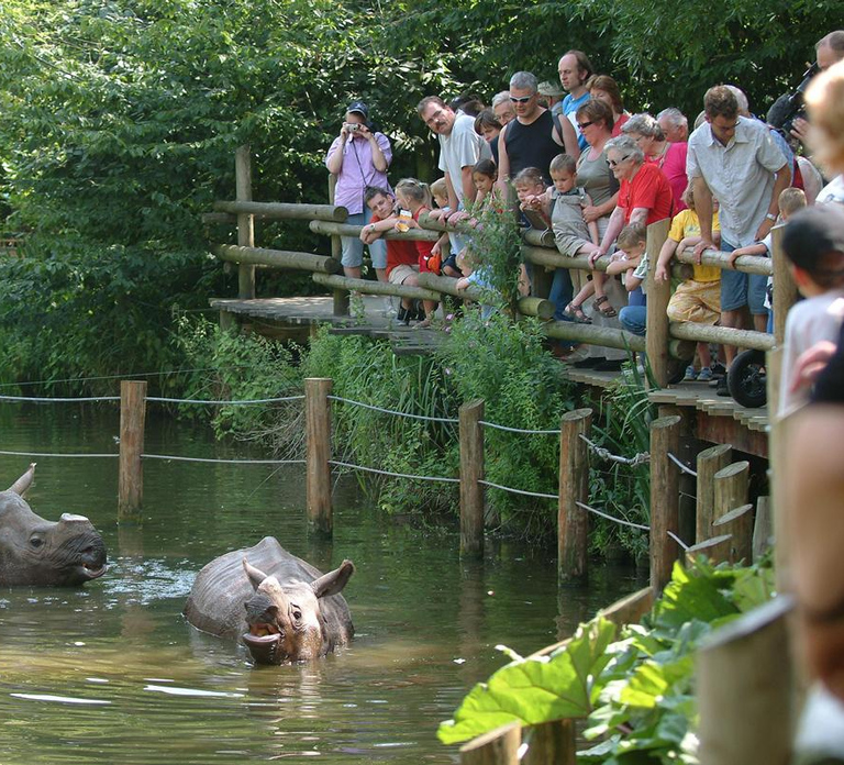 Rotterdam: Rotterdam Zoo Blijdorp Entry Ticket