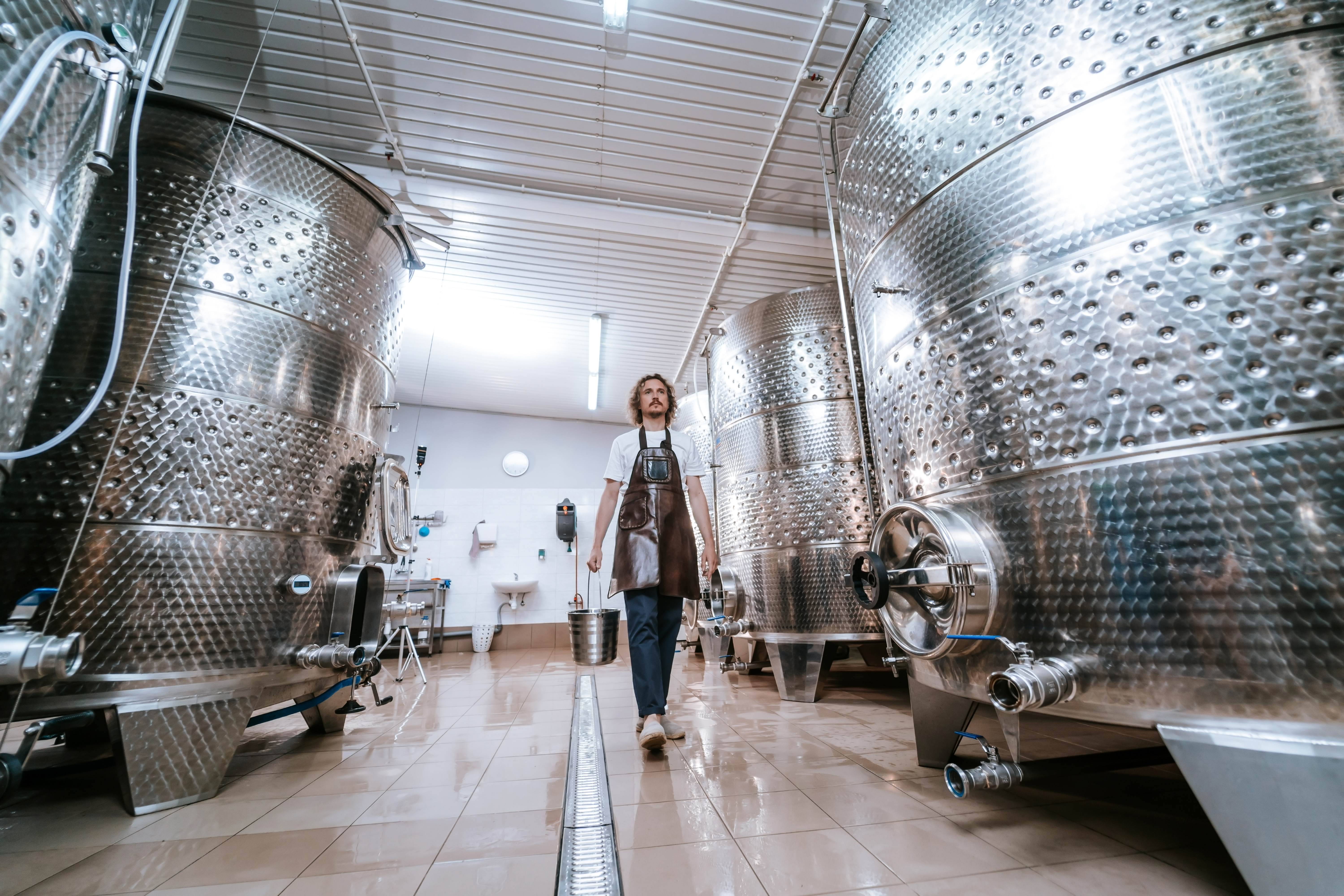 Discover Ribera del Duero: Full-Day Wine & Gastronomy Experience from Madrid