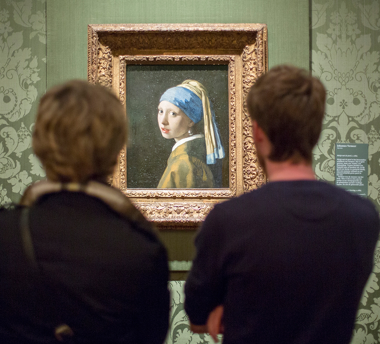 The Hague: Mauritshuis Entrance Ticket