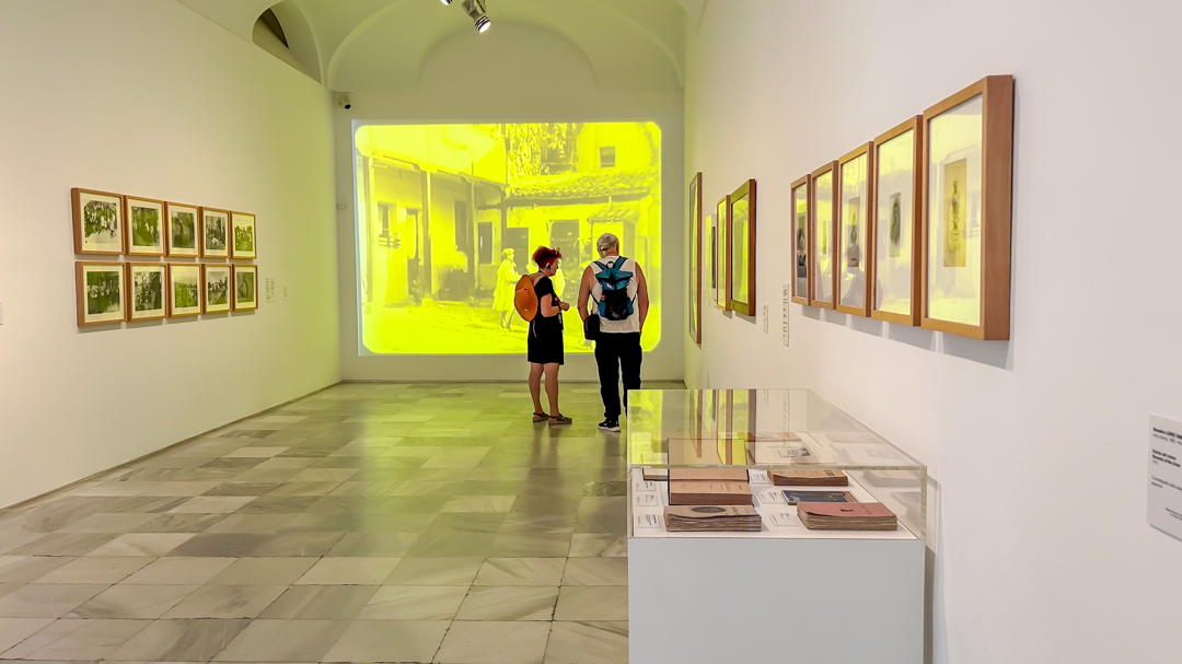Fast Track Access to the Reina Sofía Museum